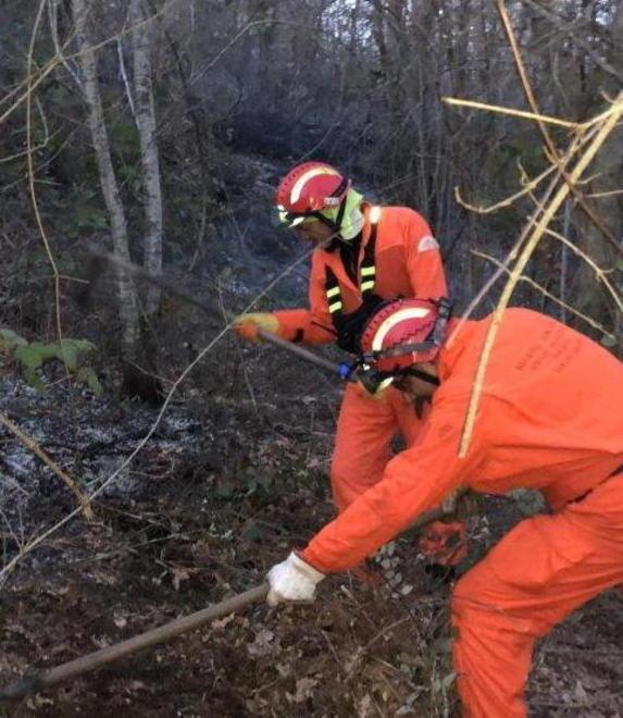 Cinque ettari di bosco distrutti dalle fiamme nella zona del Murlo