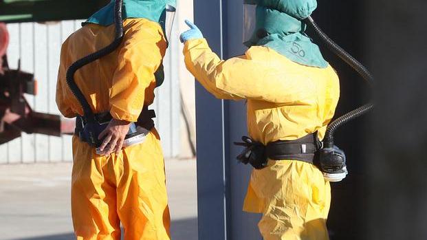 Tacchini con l’aviaria Nell’allevamento è emergenza sanitaria