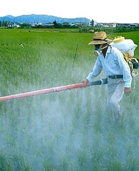 Vinci dichiara guerra ai pesticidi, controlli delle Gav sui diserbanti 