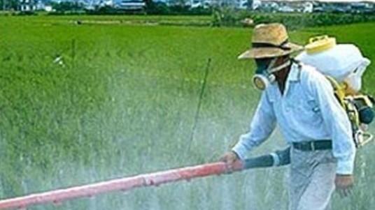 Vinci dichiara guerra ai pesticidi, controlli delle Gav sui diserbanti