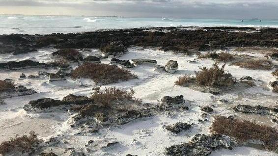Schiume al Lillatro i residui saranno tolti con la Capitaneria
