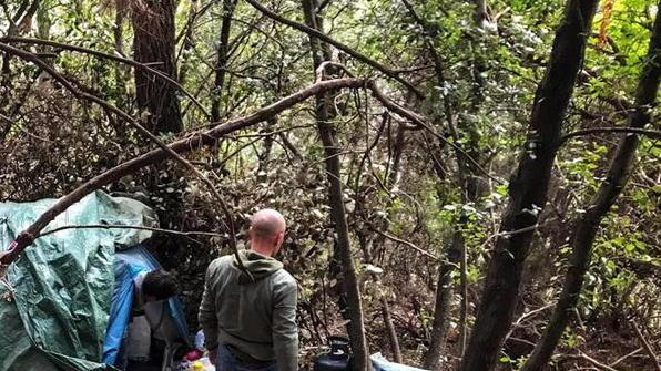 Condannato a 18 mesi il giovane che spacciava droga nel bosco