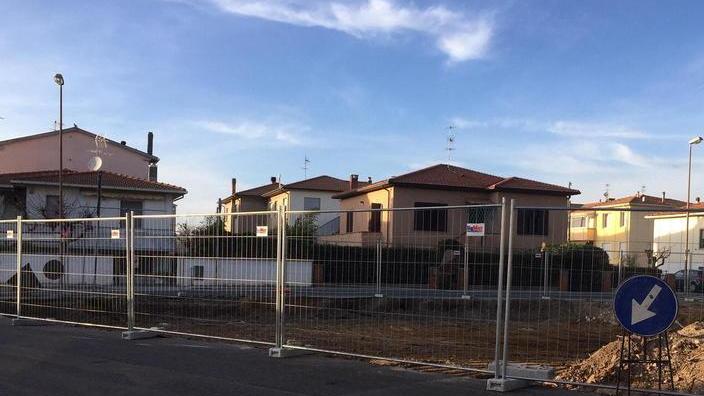 Pini abbattuti, Legambiente chiede un’altra perizia