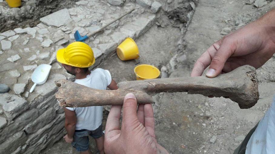 Dagli scavi di Toano riemerge la storia di castrum e chiesa