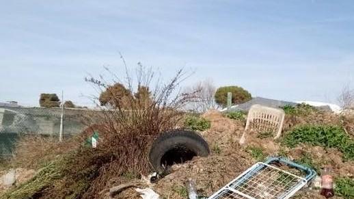 Alghe stratificate e stendini nel parcheggio vista laguna