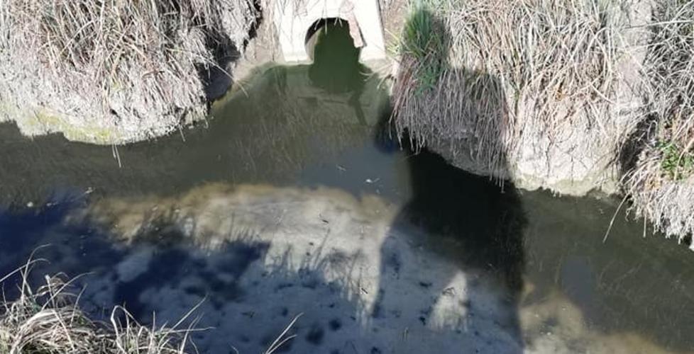 Il canale Begone, come si presentava la mattina di sabato 16 marzo, nelle foto scattate da Pietro Giansoldati