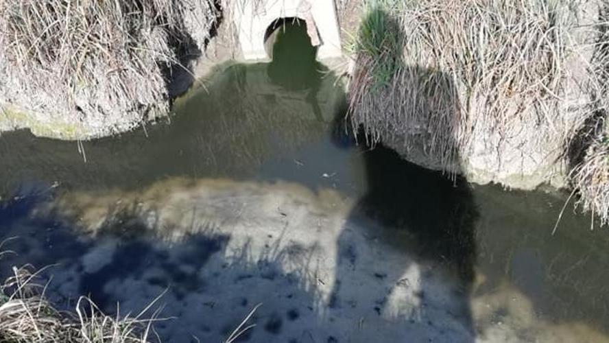 Il canale Begone, come si presentava la mattina di sabato 16 marzo, nelle foto scattate da Pietro Giansoldati