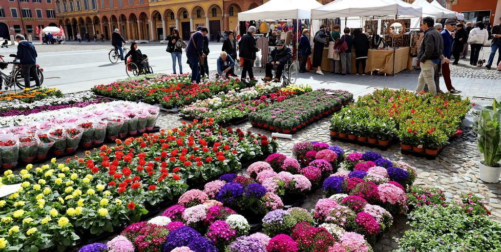 Le strade diventano giardini