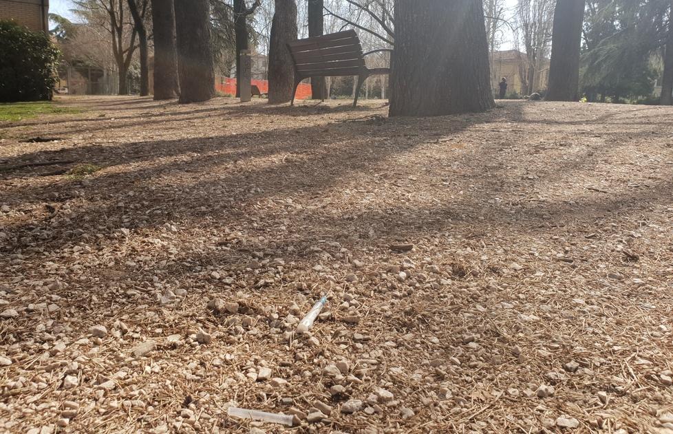 Reggio Emilia, siringhe abbandonate sul sentiero del parco Tocci 