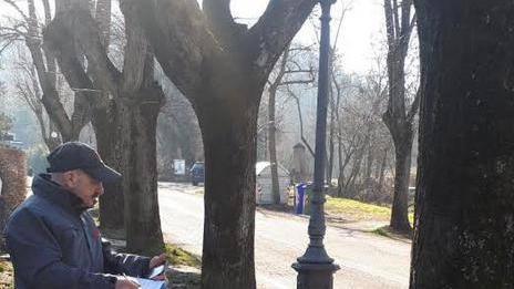 Indagini sui tagli malati in via Marconi a Quattro Castella