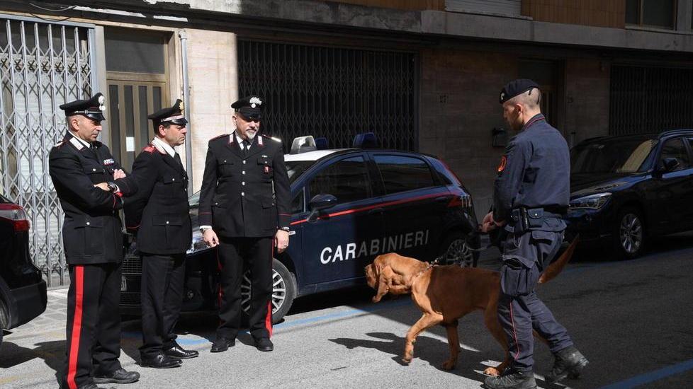 Non vuol tornare in Senegal e fugge di casa ritrovata dopo ore dai cani molecolari