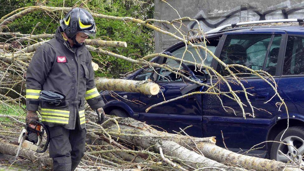 I vigili del fuoco sono intervenuti per segare l'albero caduto