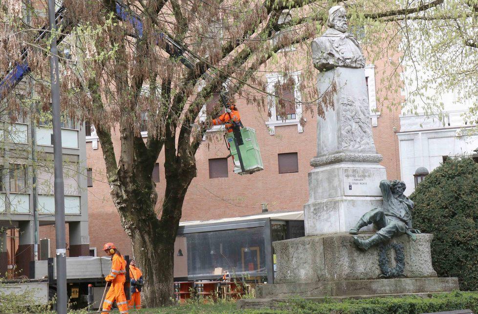 Taglio dei rami pericolanti