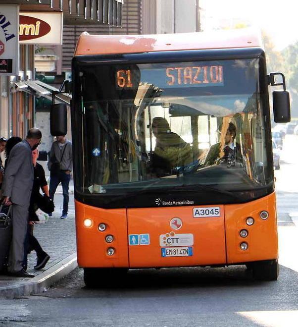 Zavanella: turn over garantito dall’azienda