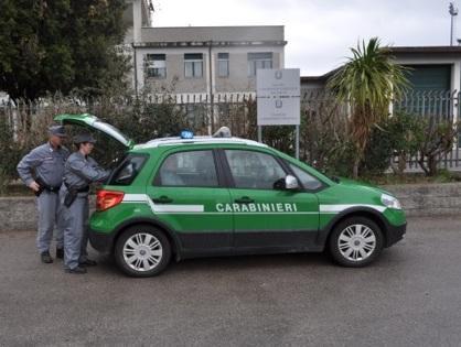 «L’olio Igp Toscano era greco e pugliese» Moliture mai avvenute e prezzi gonfiati 