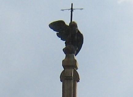 L’aquila è da oggi in mostra in municipio Poi torna sull’obelisco 
