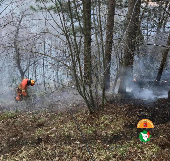 Incendio nei boschi di Rossano bruciano pini, pompieri al lavoro