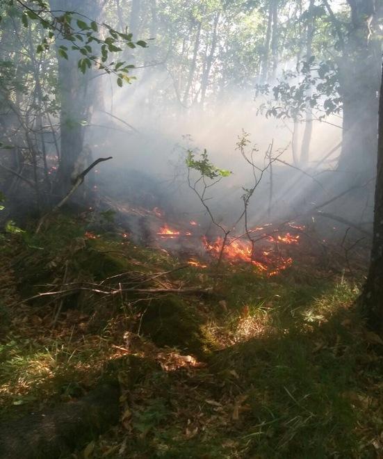 Siccità, scatta il divieto di accendere fuochi 