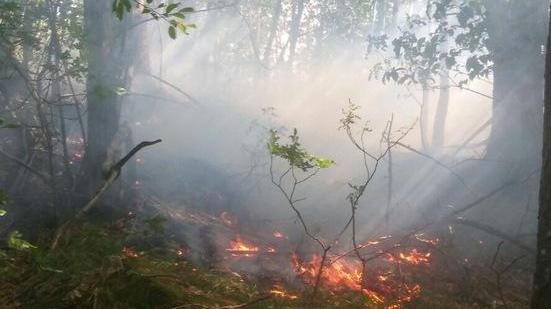 Siccità, scatta il divieto di accendere fuochi