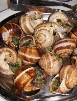 La lumaca primaverile è in versione d’èlite 