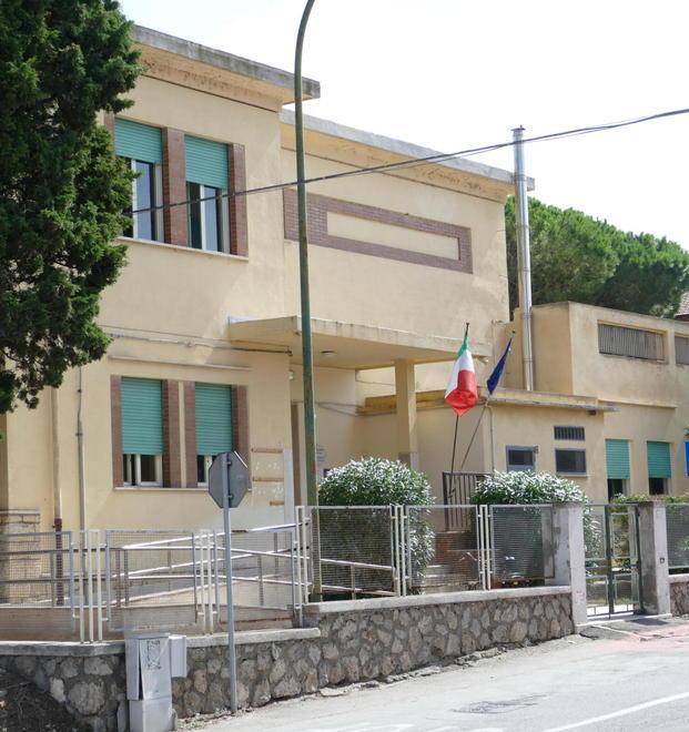 Allarme processionarie, scuole chiuse per un giorno 