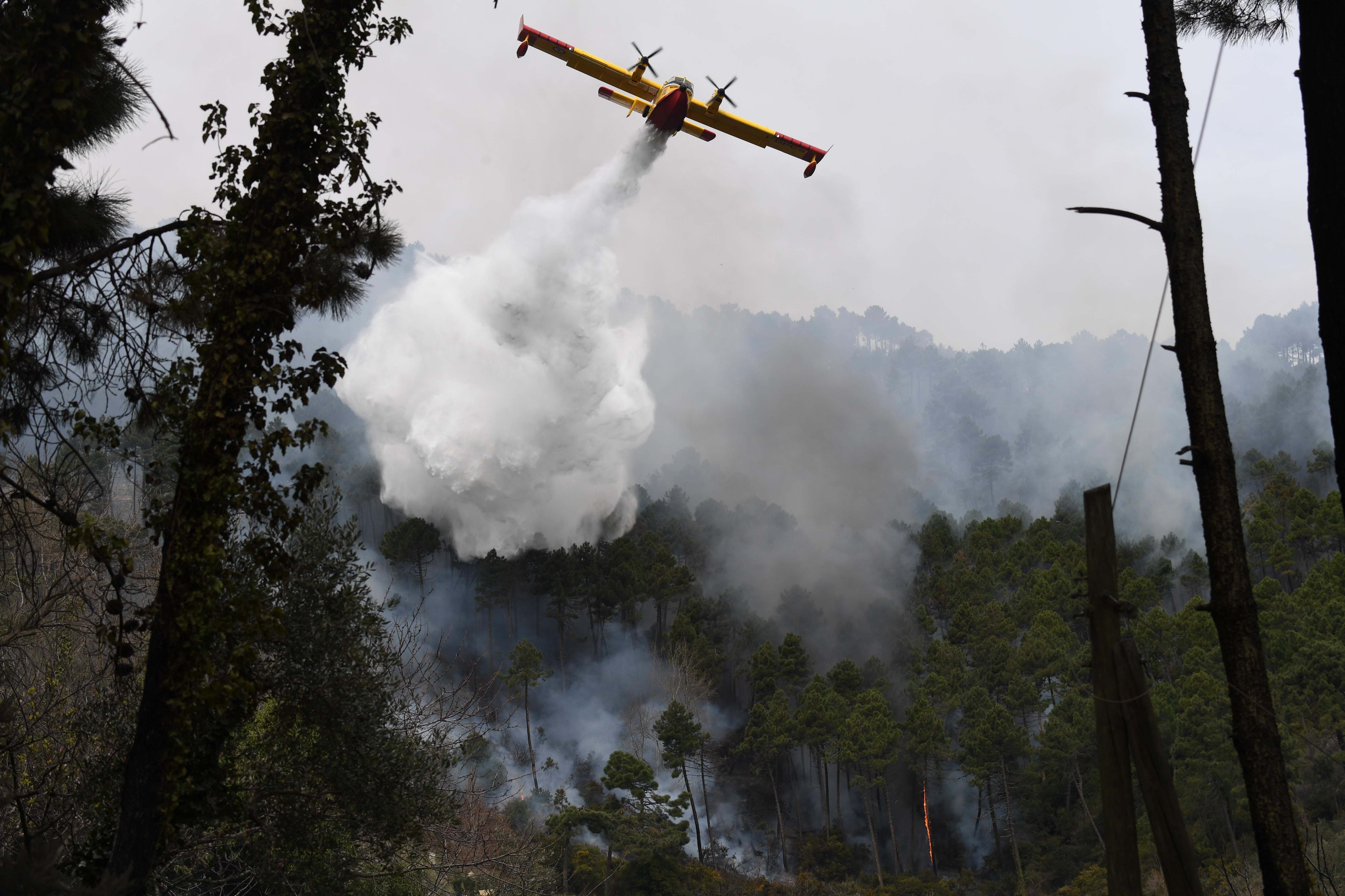 Un canadair in azione (foto d'archivio)