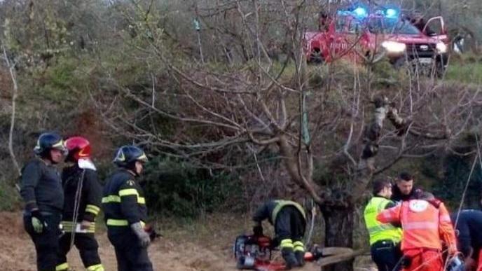 Muore schiacciato dal trattore mentre lavora nel campo La compagna: «Elio era buono»