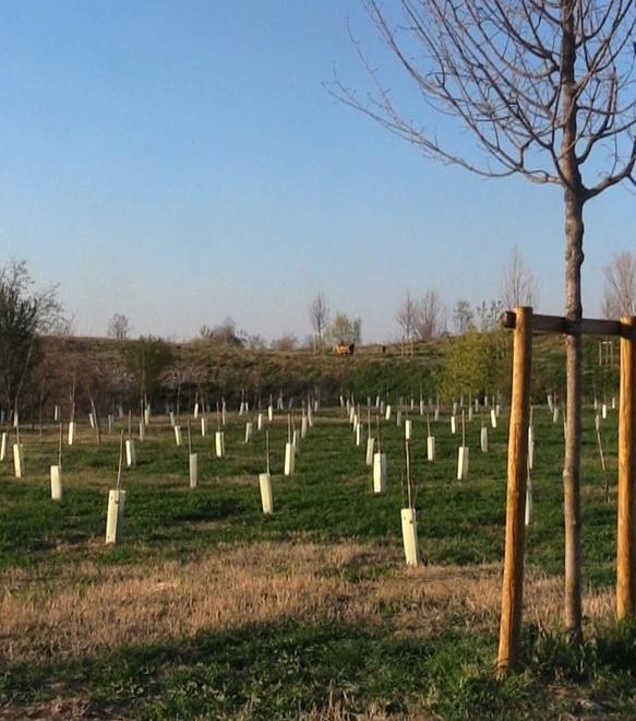 Ecco il “Parco W”, cerniera tra la città e l’area del Secchia 