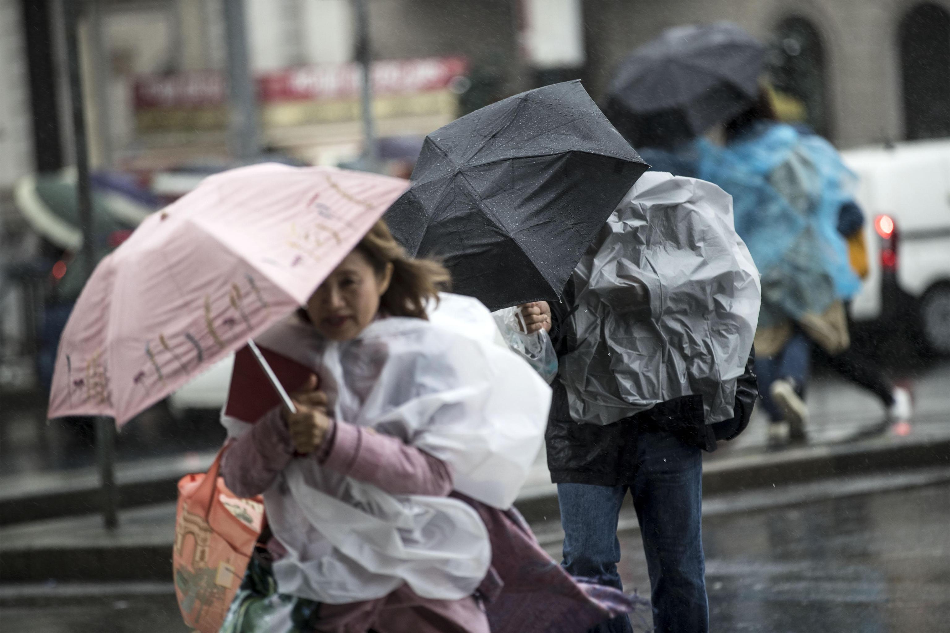 Allerta per il vento forte, chiuse tutte le scuole a Livorno 