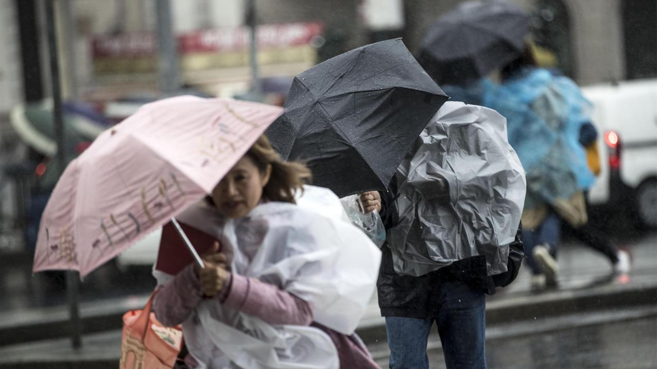 Allerta per il vento forte, chiuse tutte le scuole a Livorno