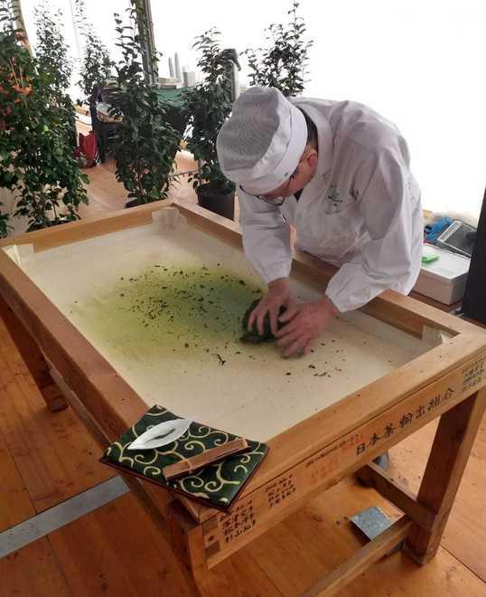 In 3.800 al secondo week end delle camelie