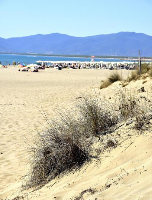 Vessillo verde Le spiagge a misura di bambino 