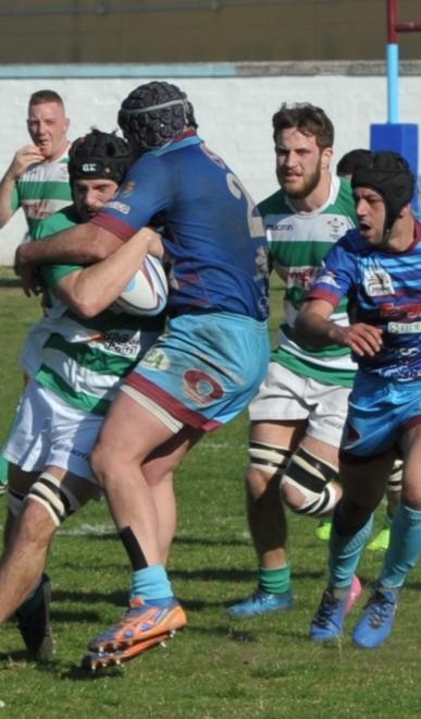 Gli Arieti sono biancoverdi Livorno Rugby cala il tris e punta al terzo posto 