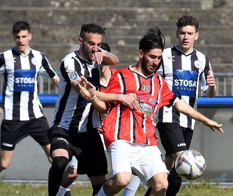 Domenica agli Oliveti arriva il Gavorrano Attesa sul fronte società 
