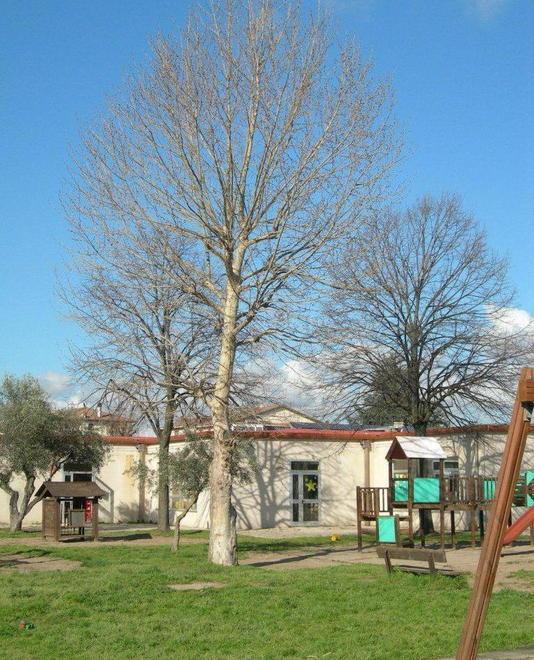 Approvato il progetto rivisto per una nuova sezione al Parco 