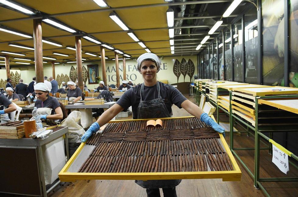 La Manifattura tabacchi si ingrandisce, progetto per un magazzino da 2.500 mq 