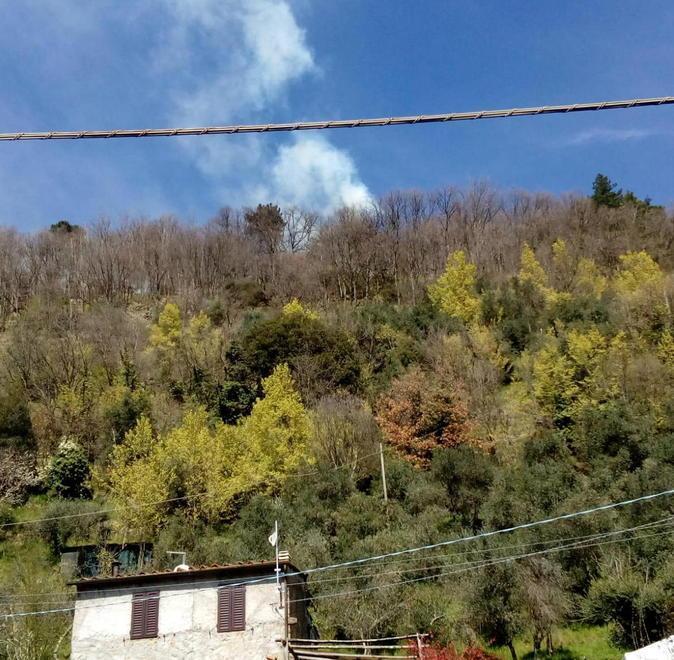 Bruciano i boschi intorno a Benabbio 
