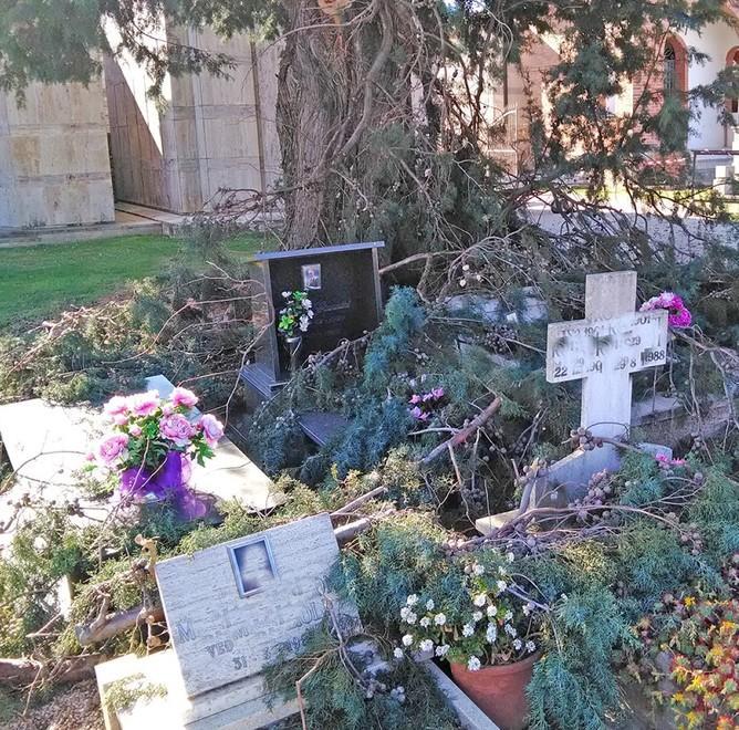 Bufera di vento sul cimitero Tombe invase da rami spezzati 