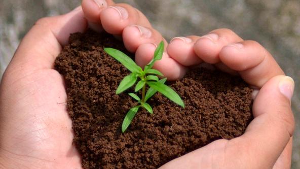 Orto, giardino, fattoria Con “Viva la Terra!” l’agricoltura è per tutti