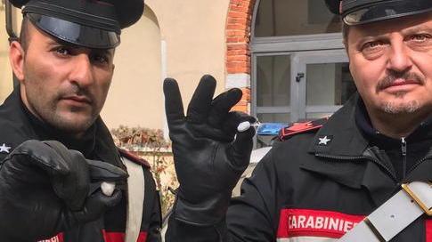 Trovato con 12 dosi di cocaina nel parco, in manette 21enne