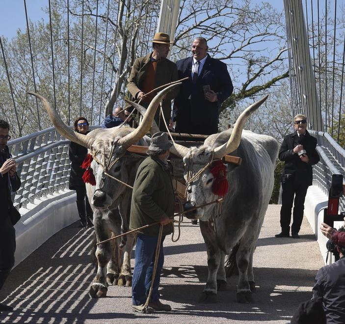 Ma il carro poteva transitare? La presidente del Parco: «No» 