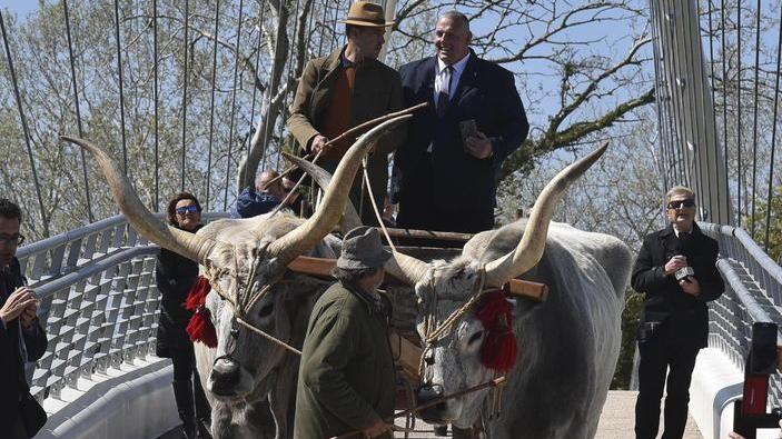 Ma il carro poteva transitare? La presidente del Parco: «No»