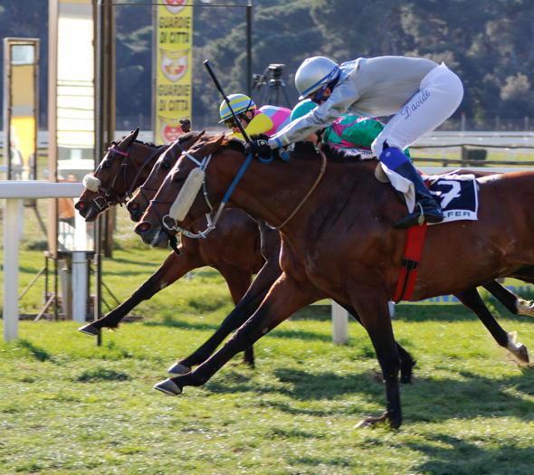 Il galoppo a San Rossore: la Wathba Stallions Cup va a Fiocchi su Manou Taouy 