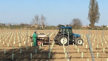 Modena, siccità da record, la portata dei fiumi calata dell’80%: «Raccolti a rischio»