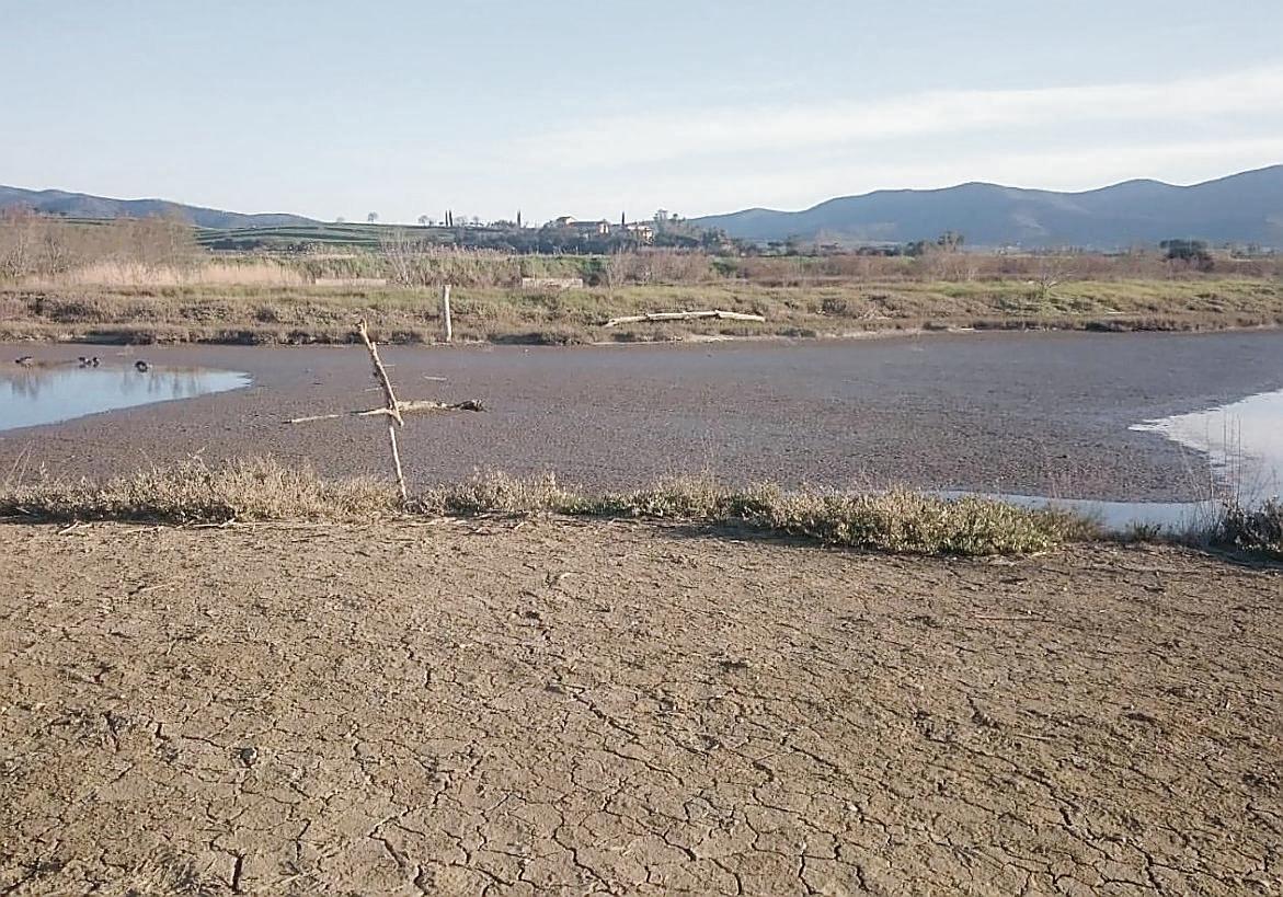 Allarme siccità, in Maremma è in pericolo l’oasi dei fenicotteri rosa e degli ibis 