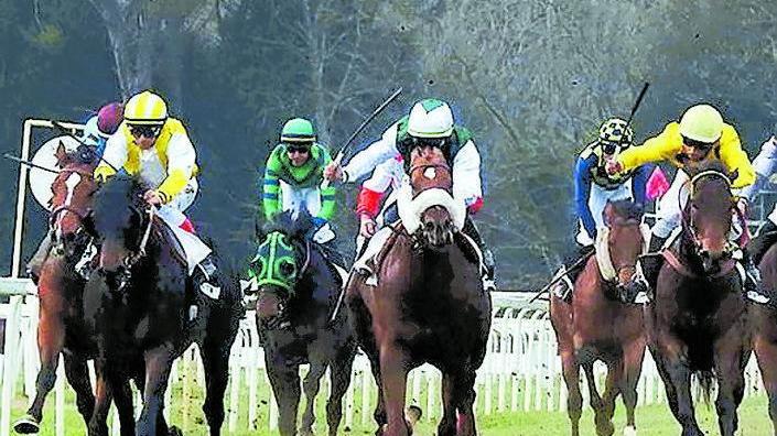 Sette gare al galoppo a San Rossore si corre anche per il Palio dei Comuni