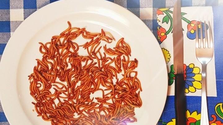 Insetti commestibili nei nostri piatti, mangeremo così nel prossimo futuro?