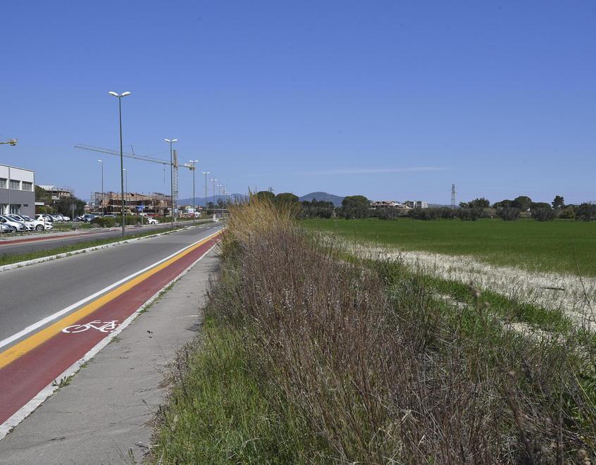 Quartiere Casalone, via Alberto Sordi: i terreni che furono del marchese Rosselli del Turco per cui è stata presentata una proposta di variante (Foto Bf)