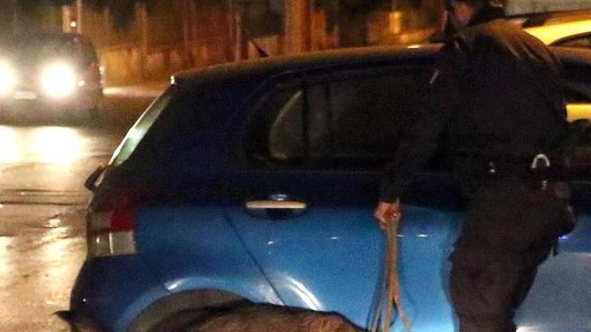 Controlli anti droga e tre persone multate per prostituzione