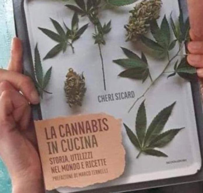 Cannabis per cibi e cosmetici Ternelli: «Ecco cosa è legale»